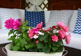 kwiaty, poradnik ogrodniczy, najlepiej umilają czas wypoczynku