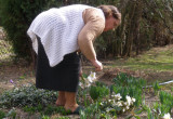 Mama Maria w ogrodzie  zrywa kwiaty ciemiernika białego do wazonu.
