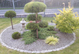 Z przodu domu, z powodu fascynacji kulturą wschodu, założyłam niewielki fragment ogrodu na wzór ogrodu japońskiego. Koło zostało wysypane szarym granitowym kamykiem, wsadziłam drzewko bonsai, szczepioną na pniu i zwykłą sosnę górską "Winter Gold" przebarw