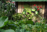 Zielony rower ogrodnika