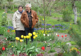 Siostra Danka i szwagier Władek wśród wiosennych kwiatów