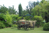 Jeden z naszych zakątków naszego ogrodu.Wóz drabiniasty w letniej odsłonie.