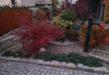 Ogród w barwach jesieni.