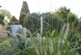 W ogrodzie nie brakuje traw ozdobnych tutaj jest Rozplenica japońska "Hammeln"