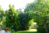 Pergola z glicynią dzieląca ogród na dwie części.