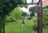 Rozległe trawniki zachęcają do biegania po całym ogrodzie
