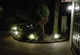 Wejście do ogrodu  nocą. Oświetlona irga, tuje i okazały świerk.