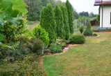 Zielony ogród