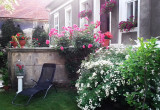 Różany ogródek