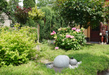 wejście do ogrodu z hortensjami i licznymi krzewami