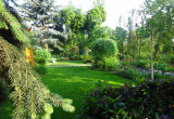 Ogród najpiękniej wygląda o poranku, słońce rzuca cienie i zieleń jest soczysta, świeża.
