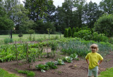 Ogród warzywny.