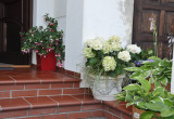 Przy kwiatach miło posiedzieć nawet na schodach przed domem :)