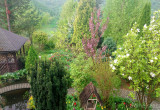 wiosna - widok na ogród