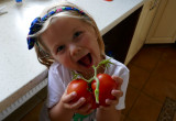 Pomidor "bawole serce" wychodowany z nasionka samodzielnie to dopiero duma