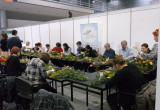 Warsztaty florystyczne w dniu otwartym dla publiczności (1.03.2014).                                        