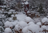 Ogród pokryty śnieżnym puchem