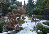 Ogród w styczniu