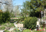ogród wiosenny
