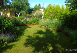 Ogród o świcie IV