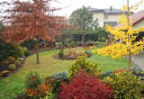 Widok na ogród za domem jesienią