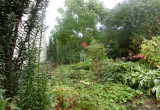 Ogród za domem