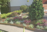kolorowy ogród