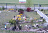 Ogród przed domem