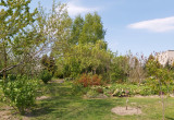 Widok z sadu na ogród ozdobny