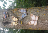 Na topoli ceramiczne, własnoręczne wykonane motyle