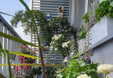Balkonowy Ogród