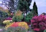 Panorama jesienna ogrodu