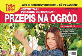 00-03dw33e
