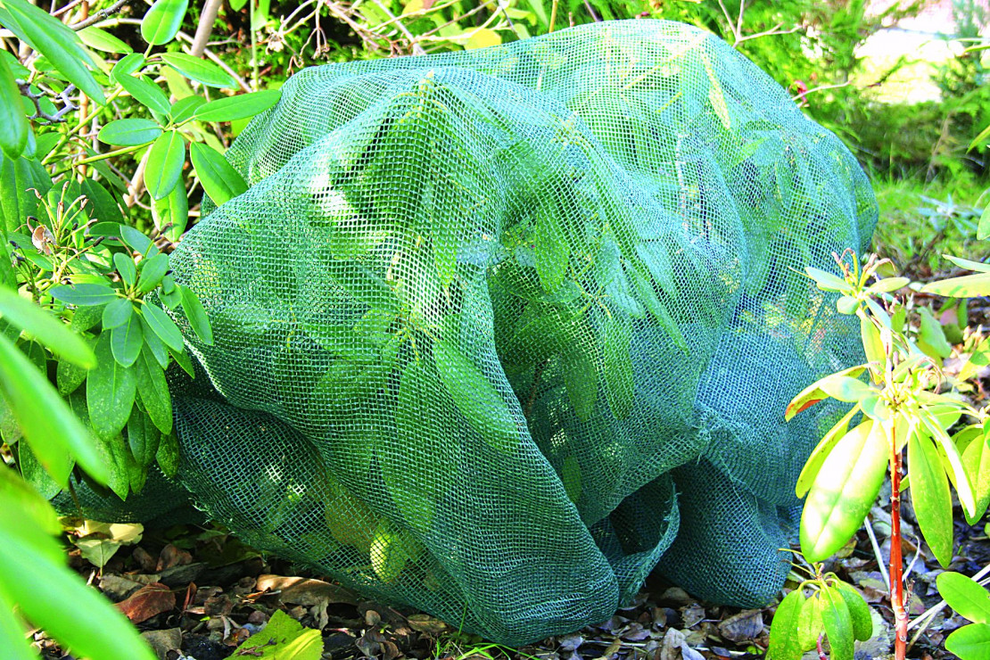 poradnik styczeń