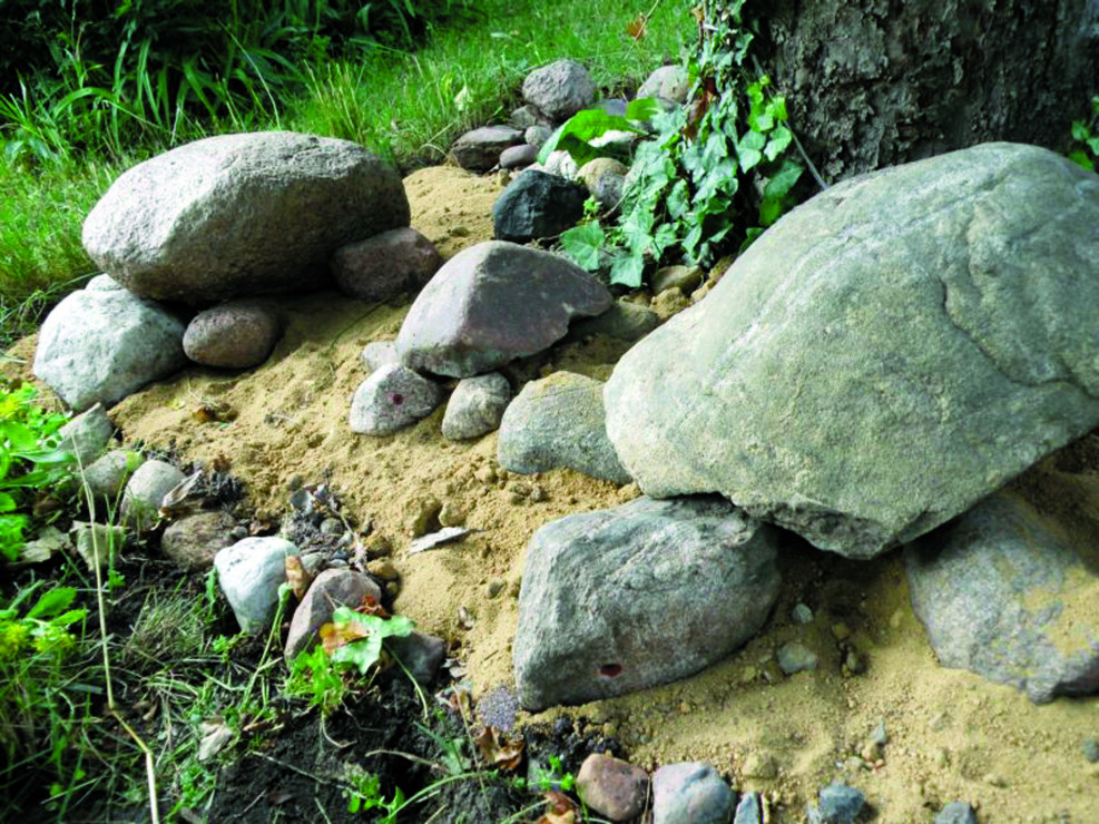 Kamienne żółwie leniwie wygrzewają się na piasku