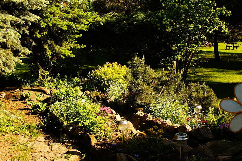 Moje rabatki