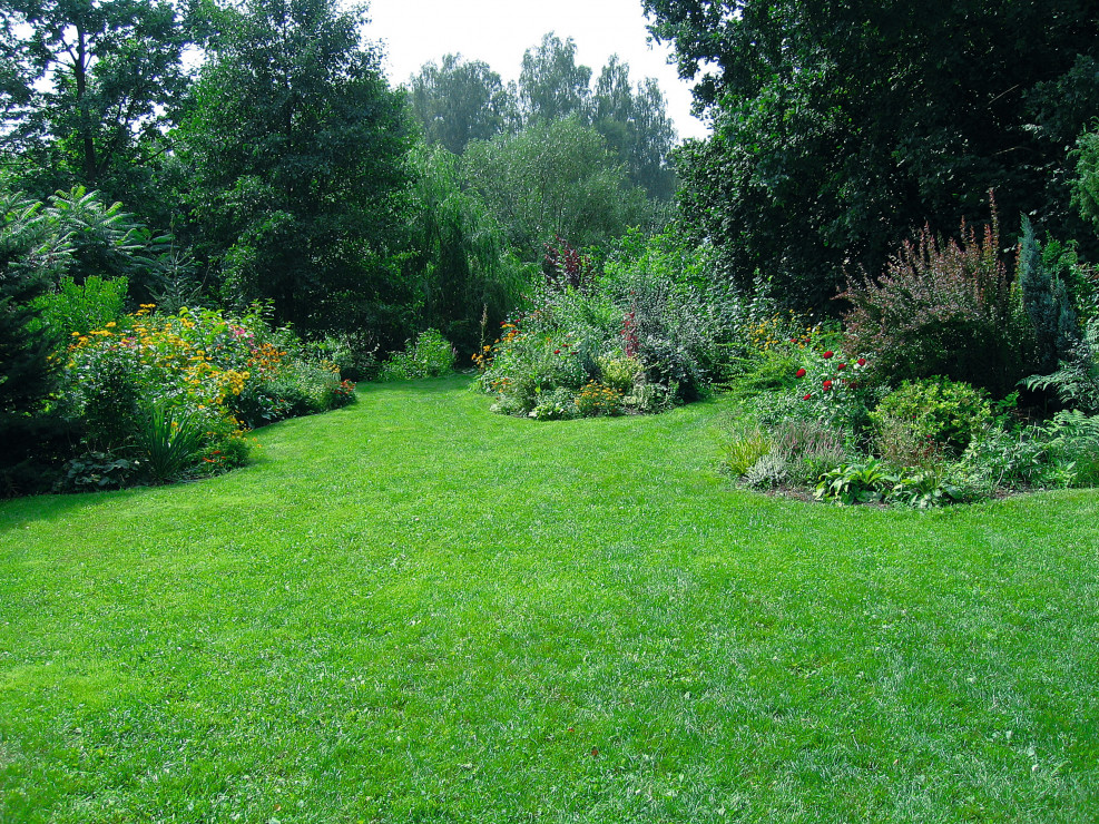 Ogród w stylu naturalnym
