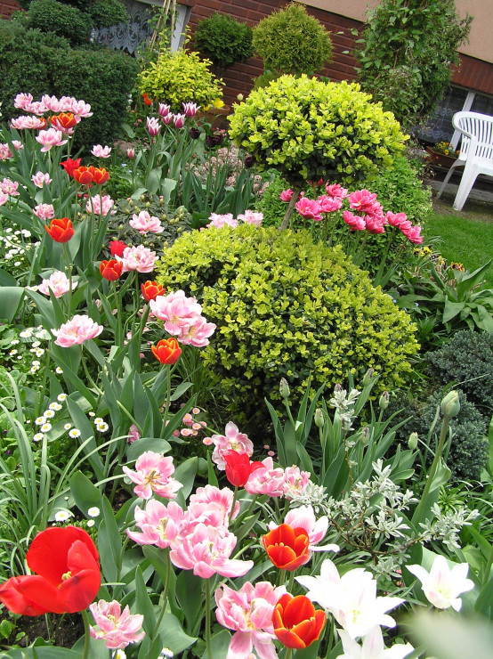     tulipany - prócz wiadomego piękna, urokliwej prostoty, doceniam je za to.