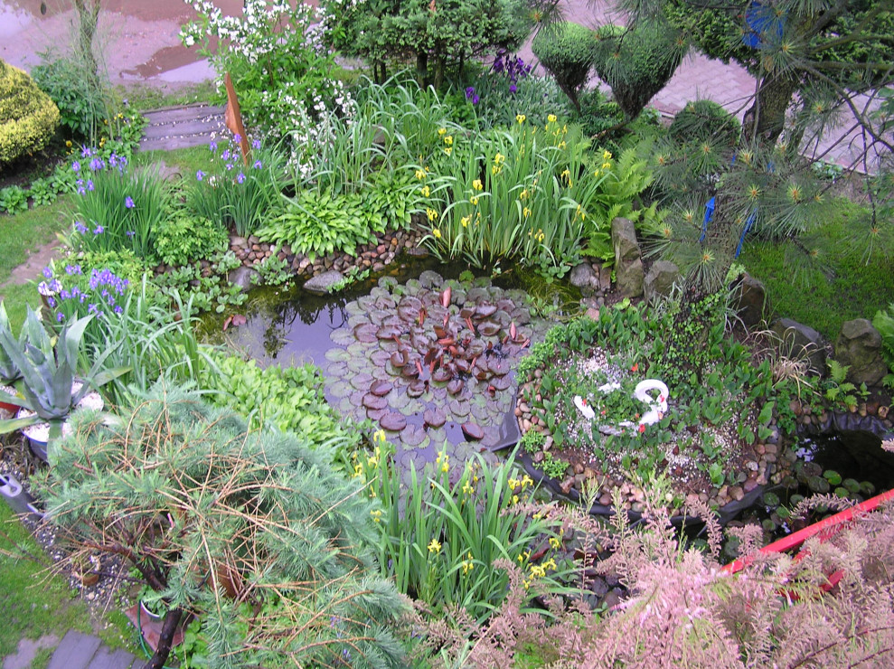 Woda w ogrodzie jest także ważnym elementem, dlatego mamy oczko wodne z niewielką sucha kaskadą. Jest to nie tylko raj dla ptaków w upalne dni, ale także kojąca melodia dla uszu pluskającej wody.