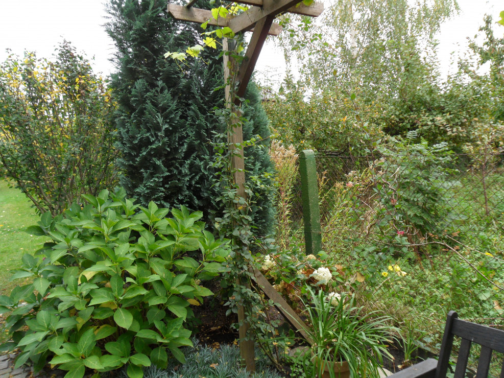 Zielone słupki ogrodzenia są niemal niewidoczne na tle roślin.