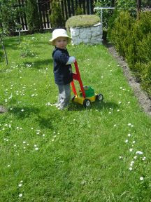 Mój mały  pomocnik do koszenia trawy.
