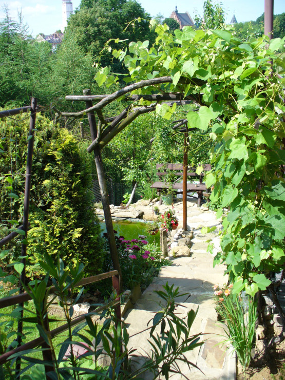 winogrona  i kamienne schody