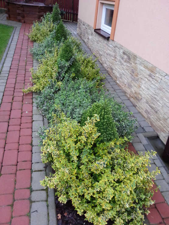 a to moja druga rabata ma też 4 lata i była moim prezentem imieninowym który sama sobie sprawiłam...:)
