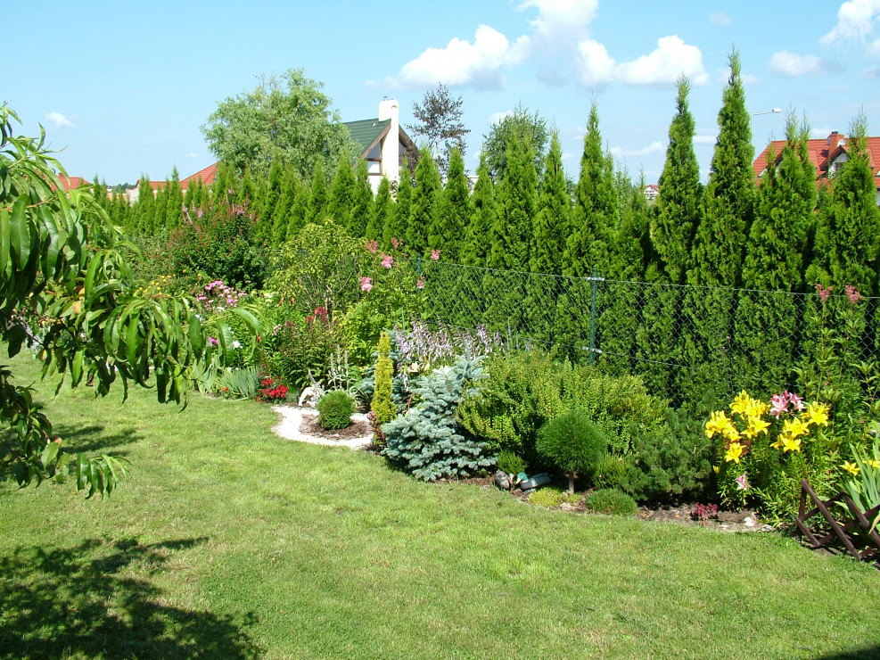 Druga strona ogrodu, rabata z iglakami liliami, floksami, jeżówkami  i innymi kwitnącymi