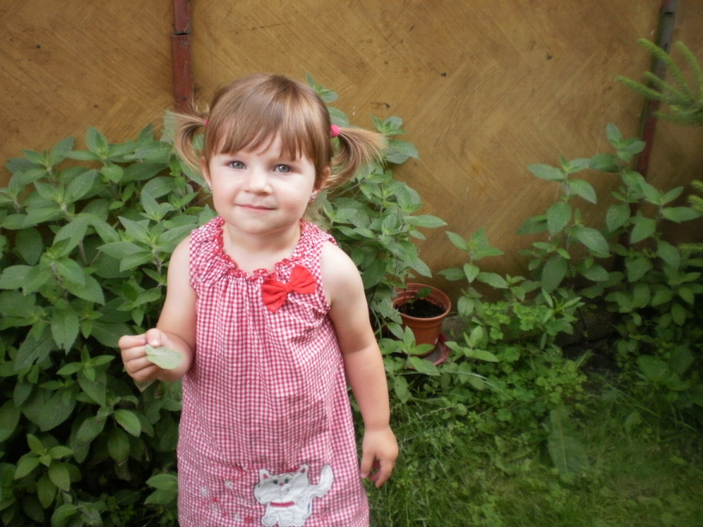 Moja siostrzenica Agatka rozróżnia już niektóre roślinki. Wie, że mięta jest smaczna i ładnie pachnie.
