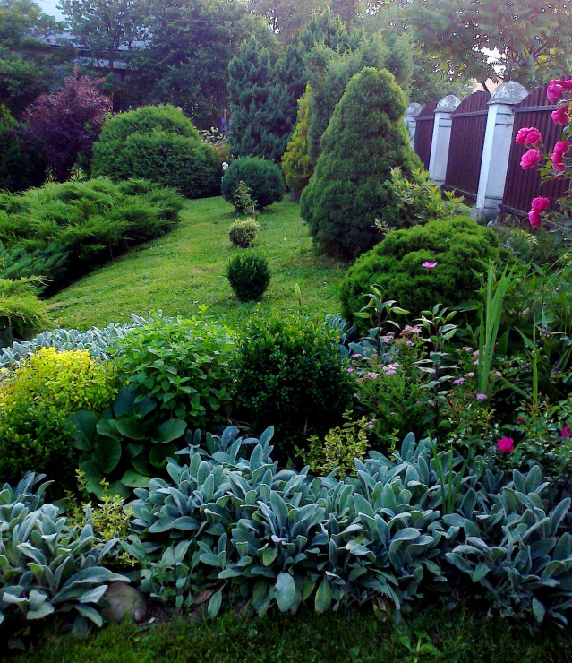 Ogródek przed domem