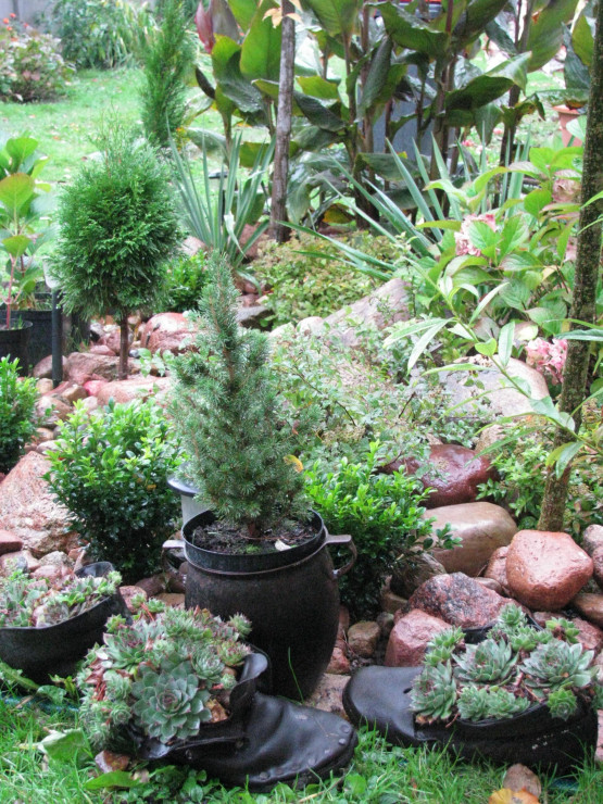 W moim ogrodzie nawet stare buty znalazły miejsce