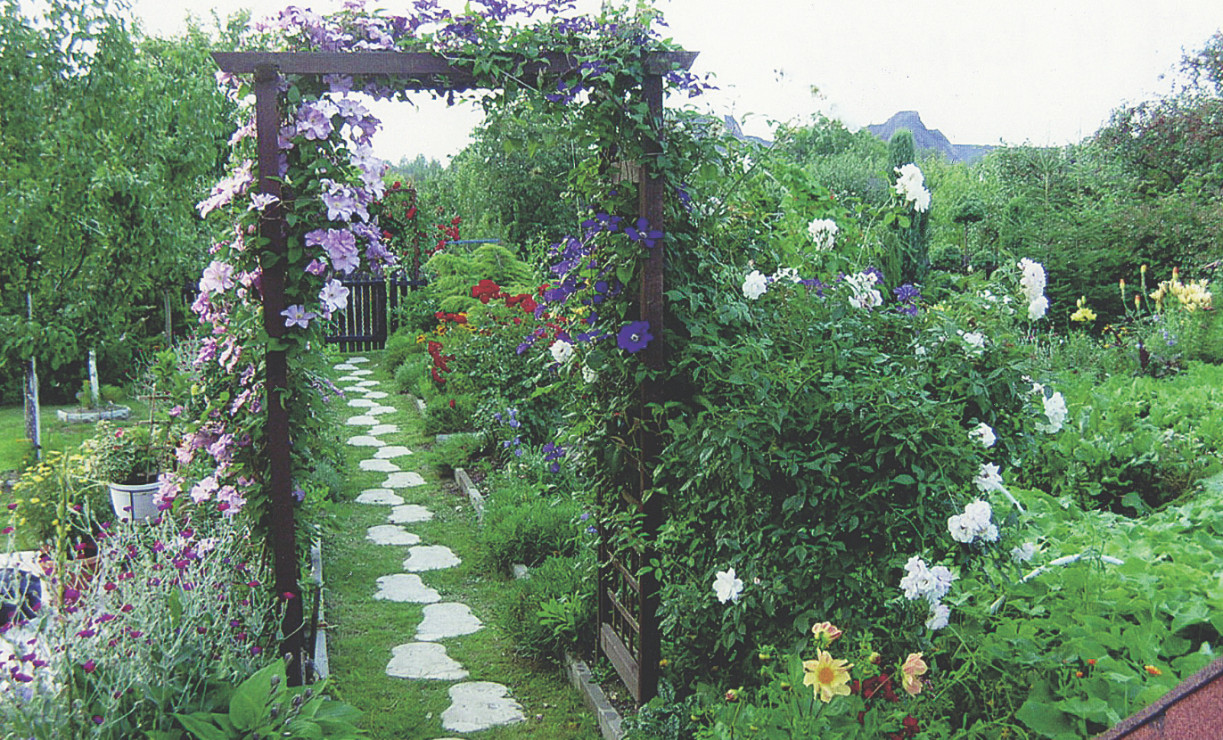 Pergola ukwiecona klematisem tworzy efektowną bramę i podkreśla sielski klimat tej części działki.