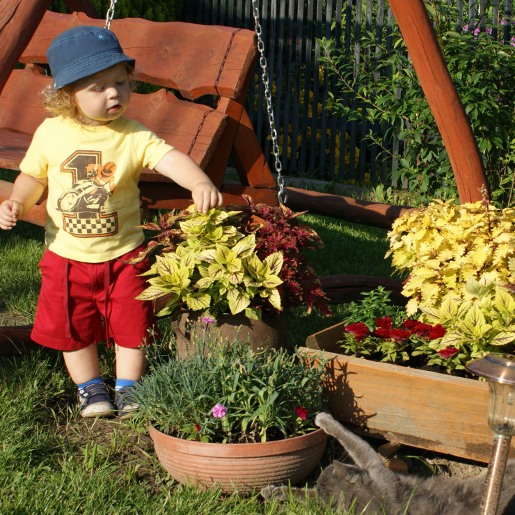 Filipek od najmłodszych lat wie że z roślinkami trzeba obchodzić się delikatnie ;) Tu z koleusami przy których często pomaga w podlewaniu  ;)