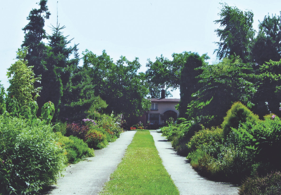 Gąszcz tak, ale ujarzmiony.